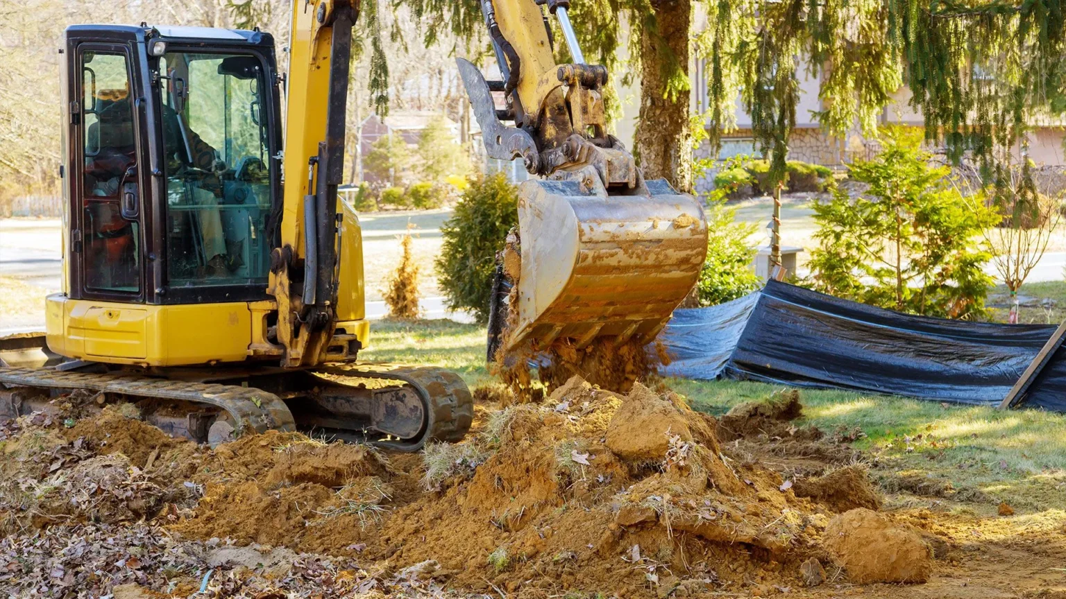 Clearing the Path: Common Challenges in Land Clearing Near Me and How to Solve Them