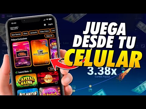 Casino Online Stranieri: Guida ai Migliori Siti Internazionali del Gioco Digitale