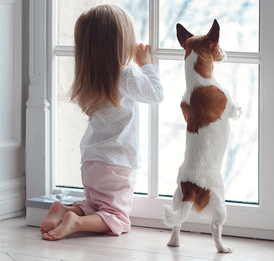 A Safer View: How to Make Your Home Windows Secure for Children and Pets